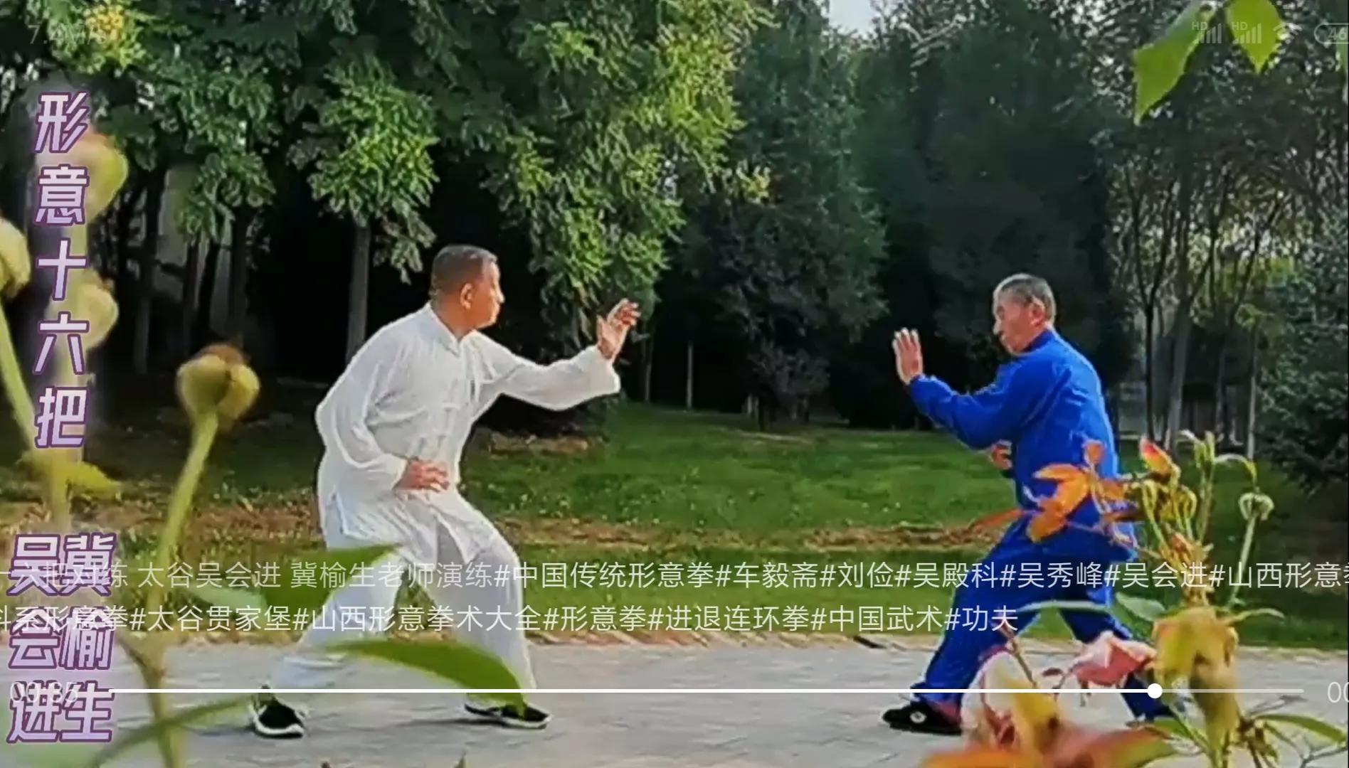 武术套路图片动作(「吴殿科系形意拳」形意拳对练套路“十六把”与拘马拚)