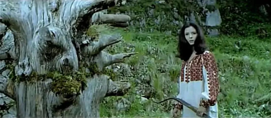 世界电影（0169）罗马尼亚电影《达吉亚人》（1970）剧照欣赏