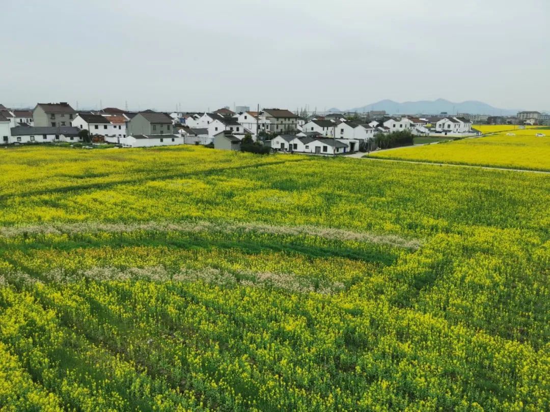 支付工程款的会计分录（承包人未拿到的钱）