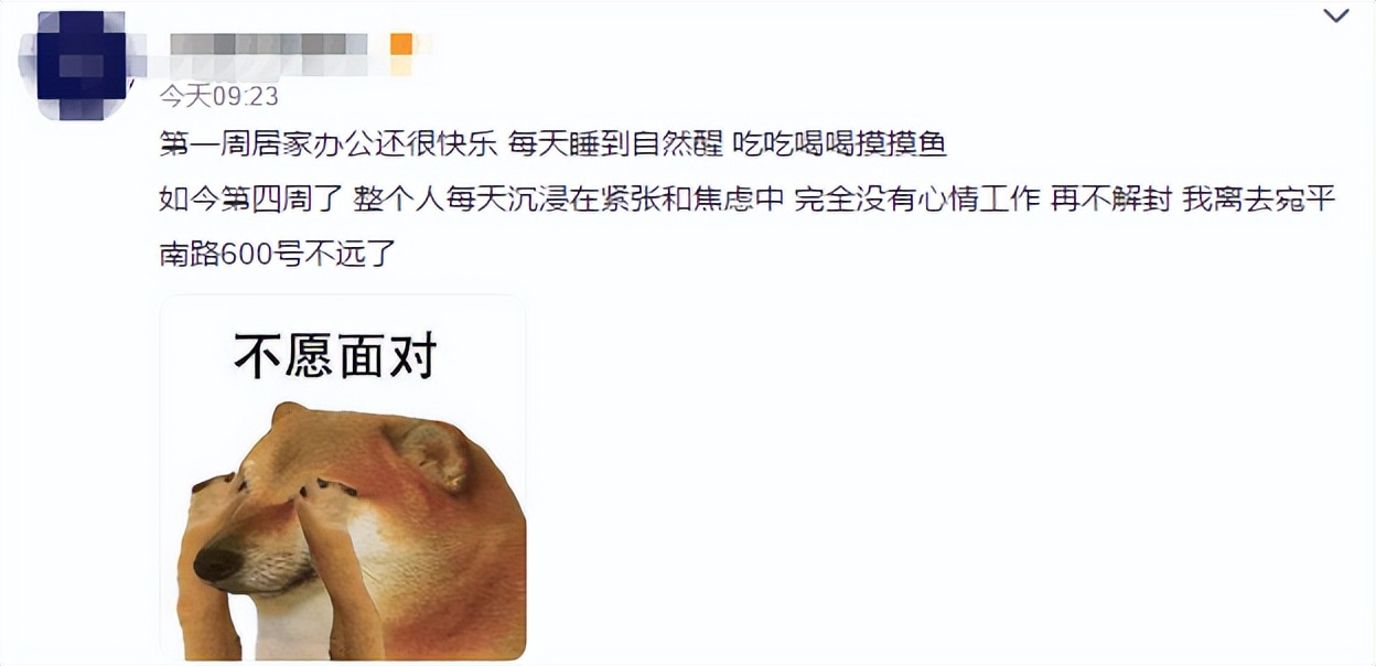 “宛平南路600号”玩梗出圈？不愧是精神界的“世外桃源”