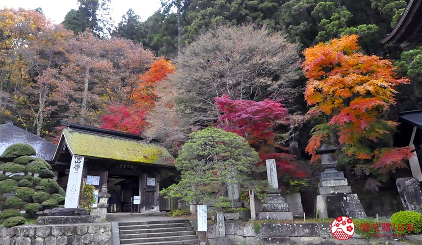 冬季去日本旅游有什么好的建议吗(日本东北旅行攻略：持JR东日本铁路「东北五日券」畅游14大景点)