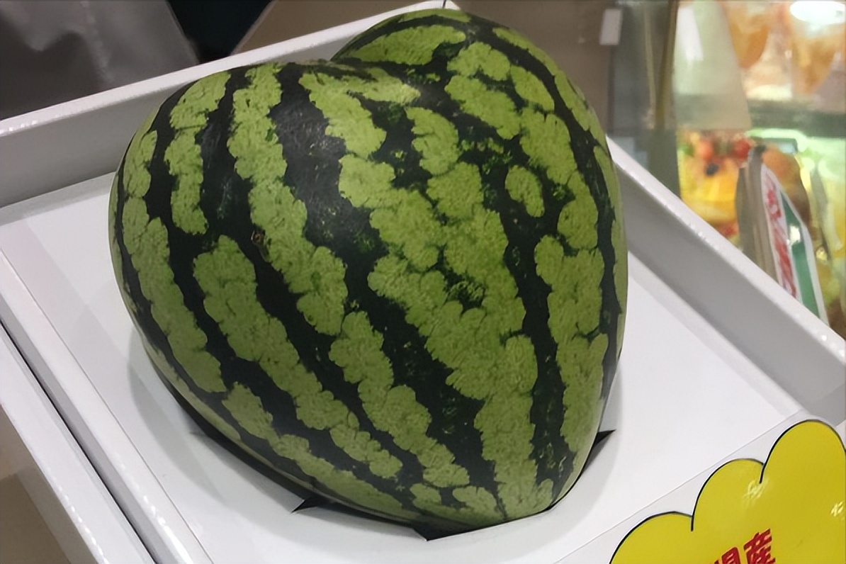 日本那些不寻常的西瓜