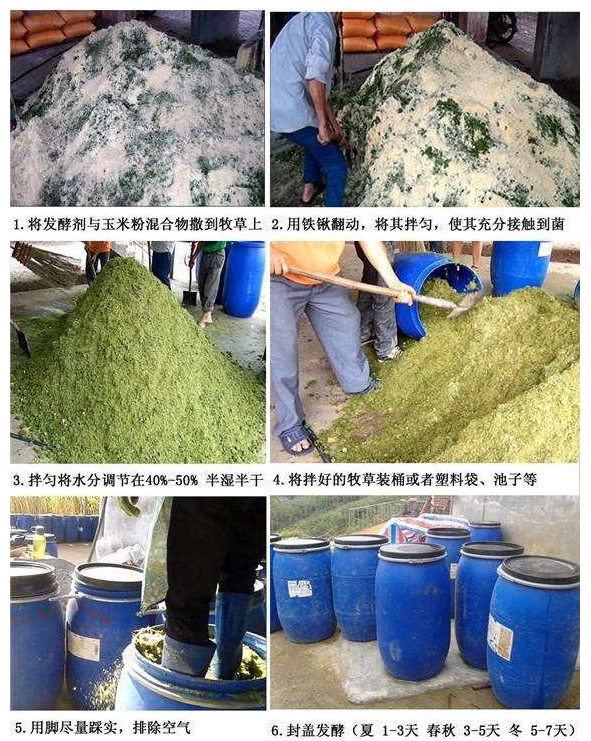 种植牧草养殖的好处和牧草的利用