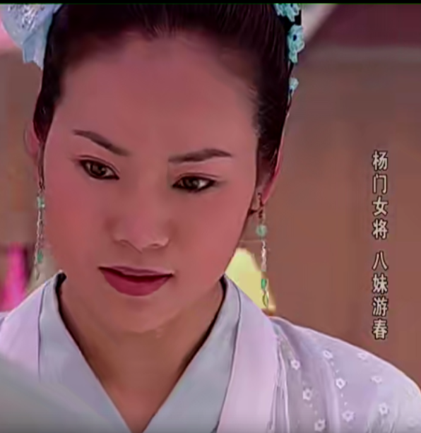 杨门女将：超燃女子群像，又美又飒又能打，剧中13位美人谁最美？