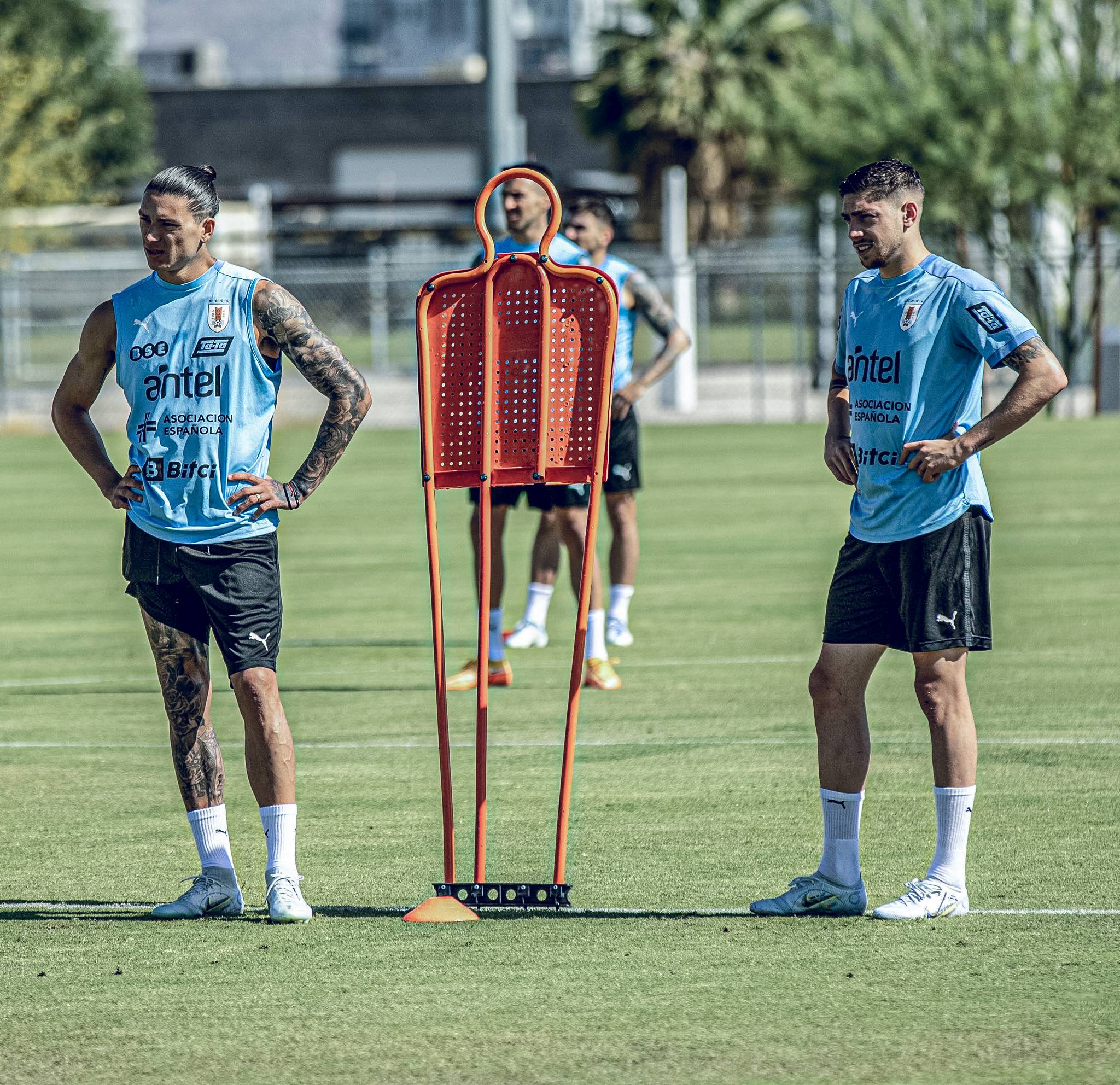 世界杯足球专家预测排序（权威预测！世界杯夺冠概率更新，前二位置稳定，葡萄牙被看衰）