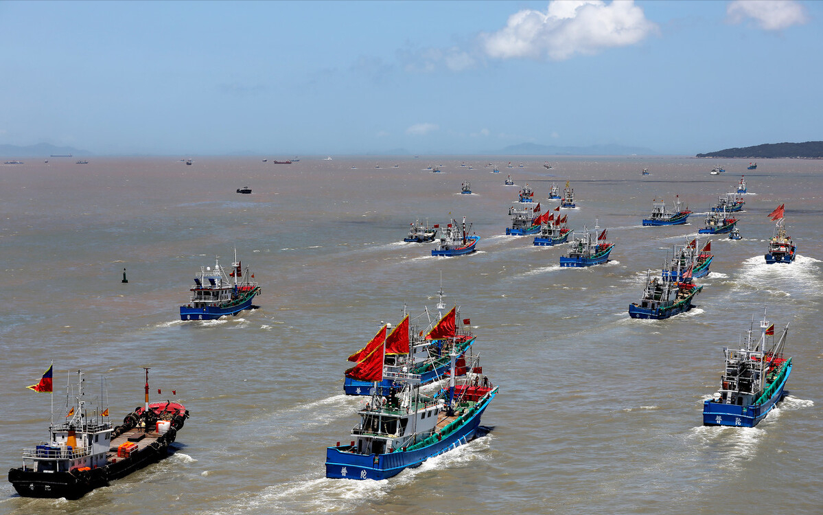 小黄鱼的“救赎”：中国经营100多年，为何不效仿长江禁渔？