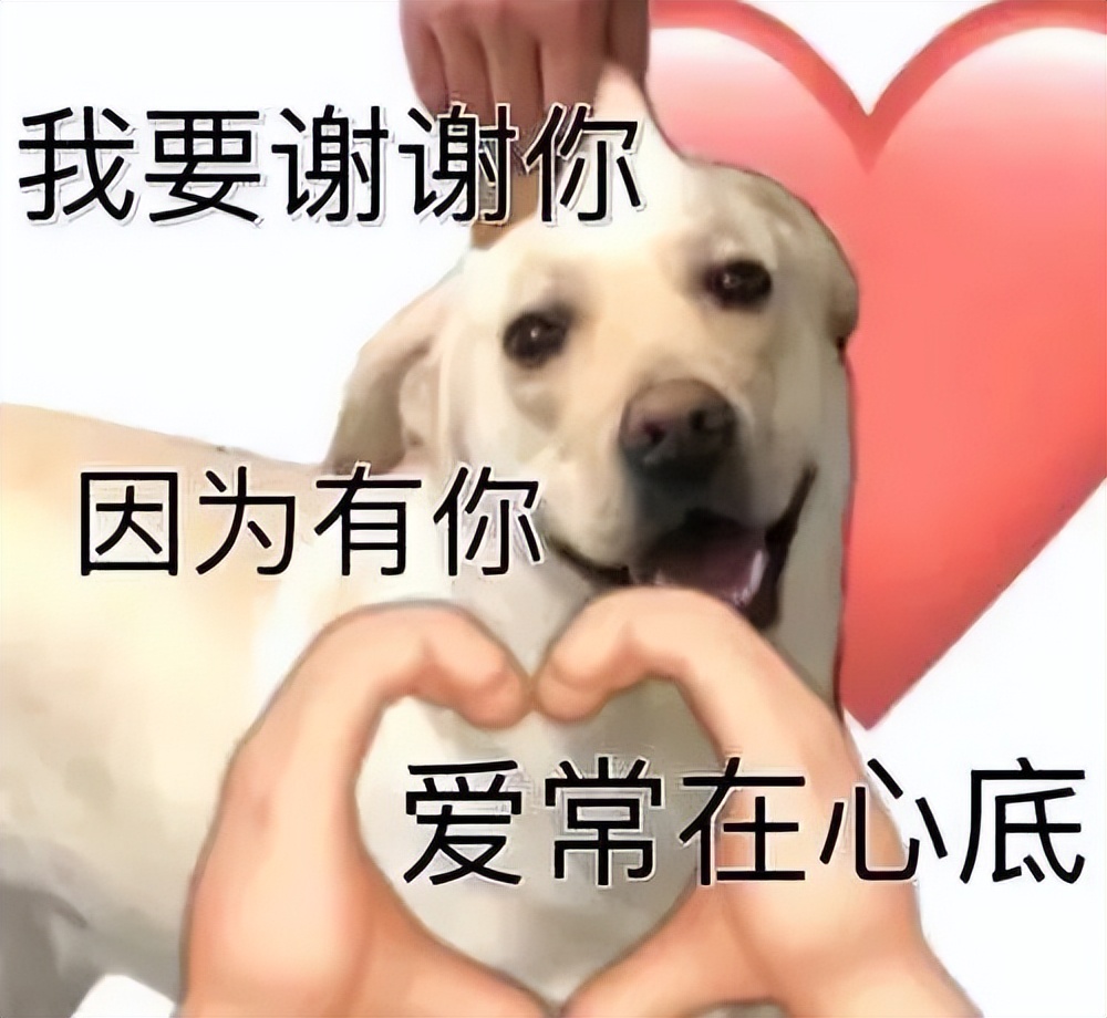 ˵лл(xie)ʲô-14ͼ(tu)Ƭ-Ѷ