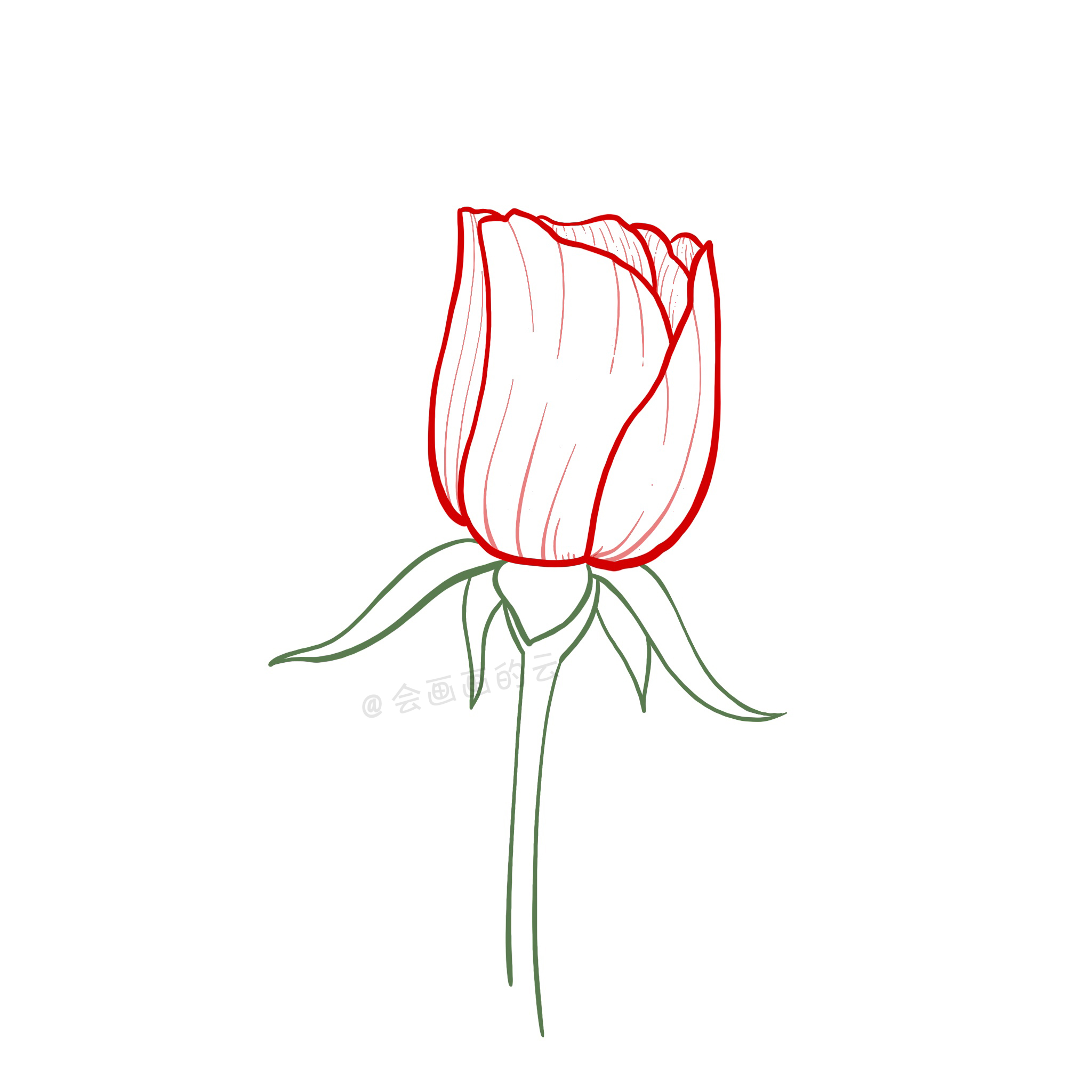 玫瑰花简易手绘图图片