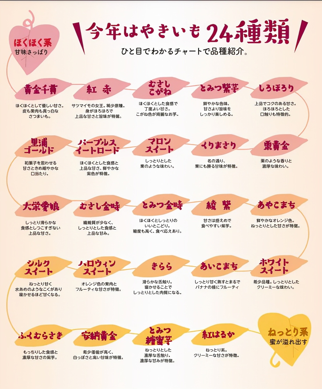 815万篇小红书笔记，年产5126.4万吨，这个秋冬网红可塑性这么强