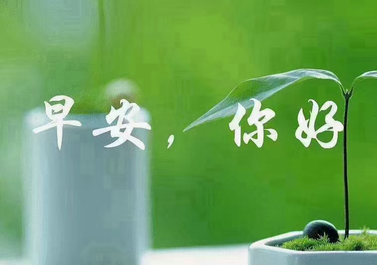 阳光明媚的句子说说心情短语(阳光明媚的句子说说 )