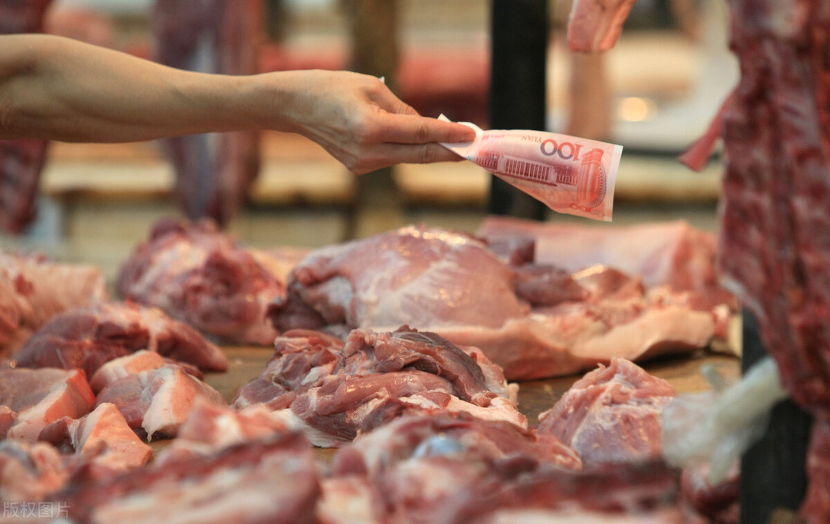 生猪价格下跌的背后，体现的更多是人性，11月9日全国最新猪价