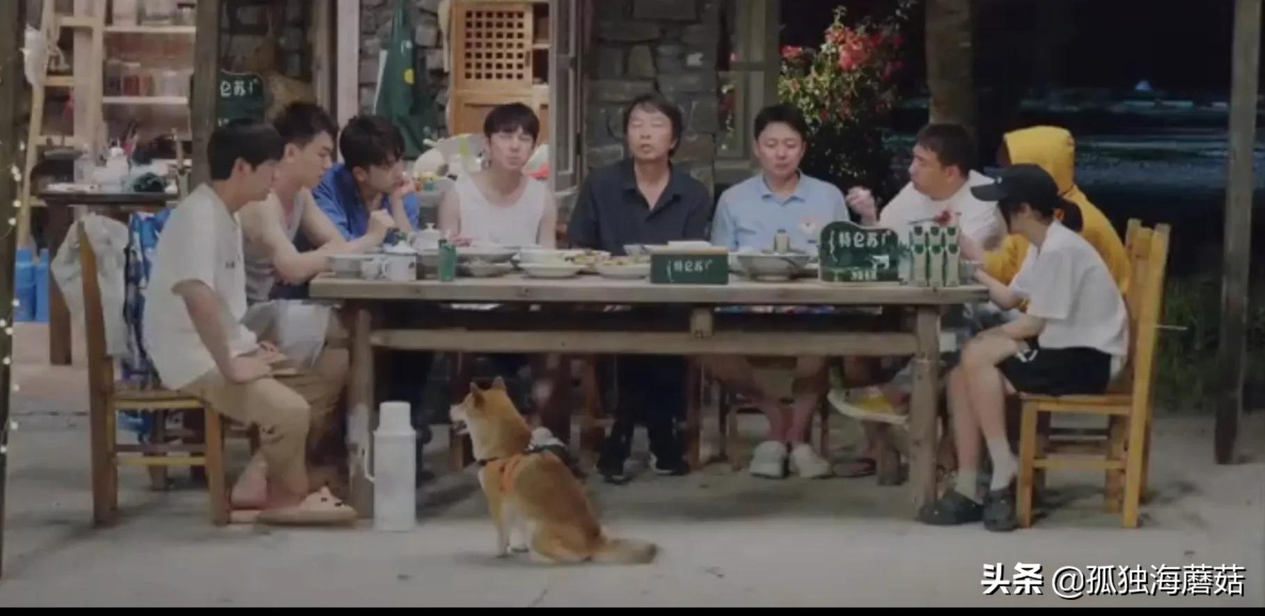 适合的嘉宾、适合的剪辑节奏，这可能是最好的一期《向往的生活》