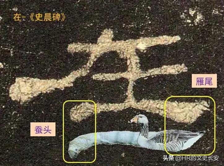 ��׾ȡʤ�������������Ͱ׾���������ţɢ��Сͭ