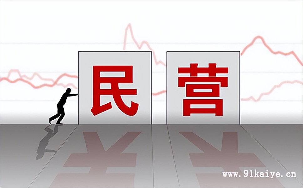 我国的股份有限公司是私营企业吗