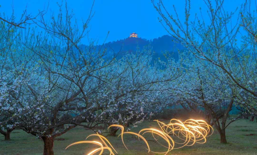 中国法院“二十四”节气 清明——每一个“你”，我们都不曾忘记