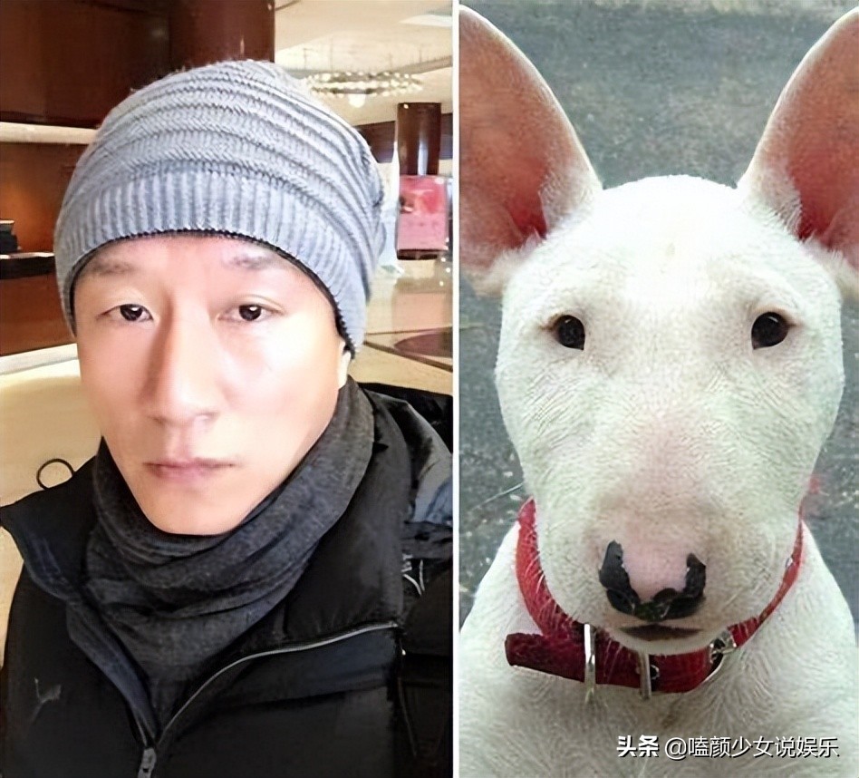 自恋遭打脸，这6位明星的迷惑行为，离谱的不止黄晓明的“明学”