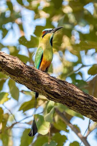 writeas趴腿上(中考英语短语全总结)