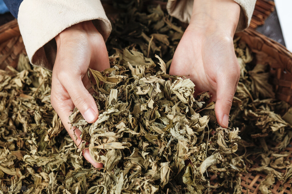 d一步,准备合格的艾叶