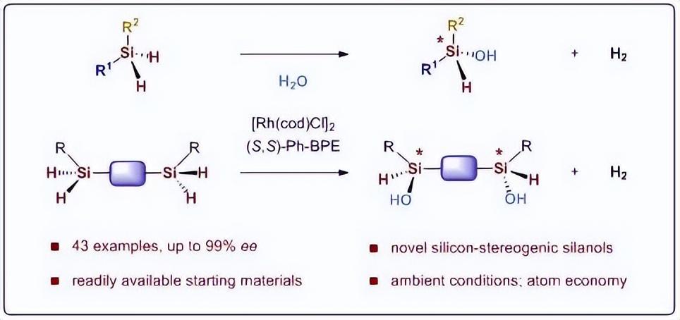 南科大何川课题组在构建功能化手性硅化物领域取得新进展