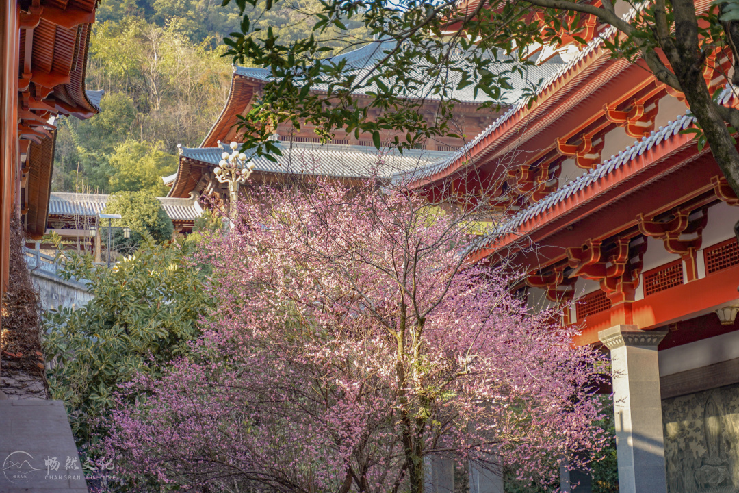 福州旗山万佛寺（福州旗山万佛寺图片）-第51张图片-科灵网