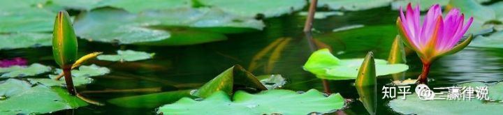 借520说说法律中的赠与认定