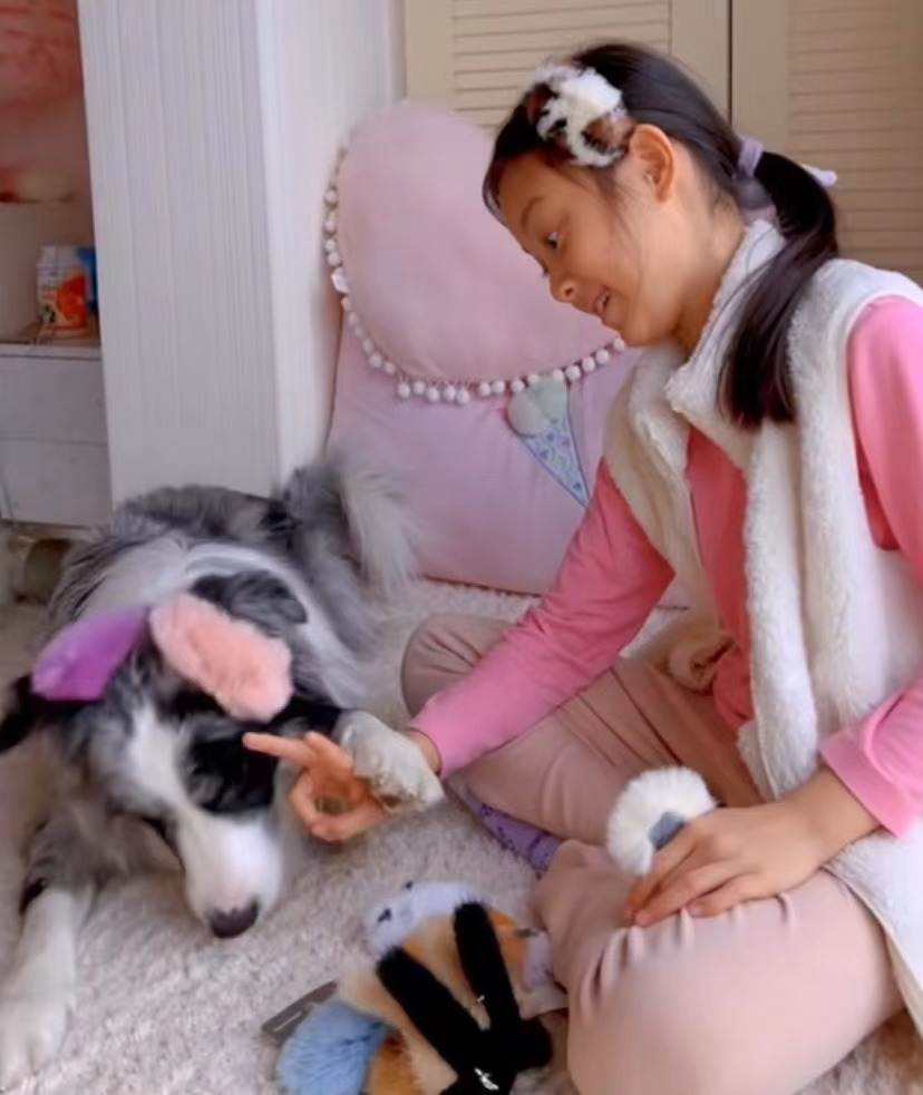 贾云馨(贾云馨改名李奕涵)