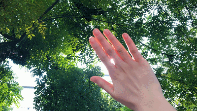 独家真题汇总！中南大学综评招生“站点式”面试超详细独家解读