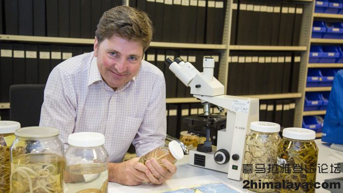 「澳大利亚」科学家在澳大利亚西海岸发现令人着迷的深海生物
