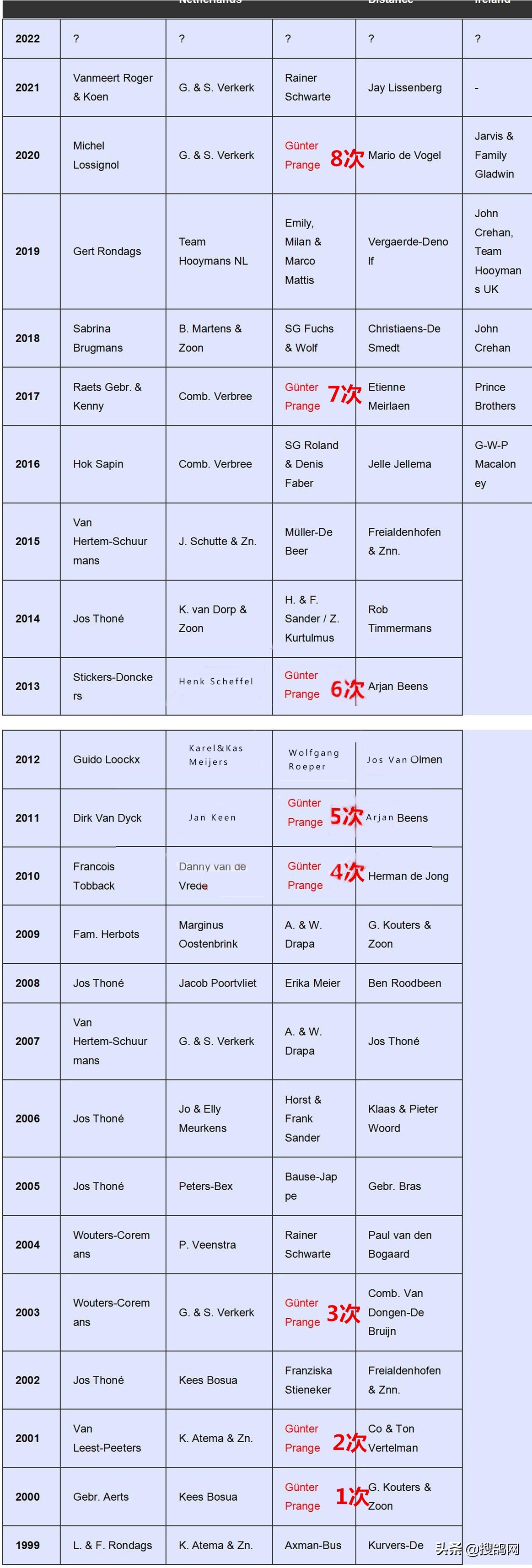 世界杯2020赛鸽专环99L(据说，德国70%以上的鸽友都拥有无环号的血系)