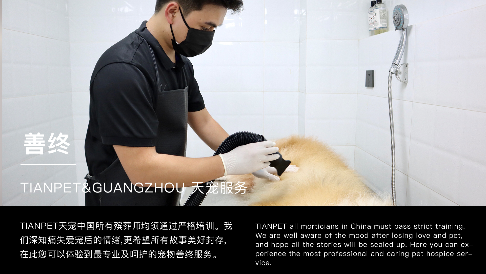 深圳宠物火化-点击咨询，499起 TIANPET天宠