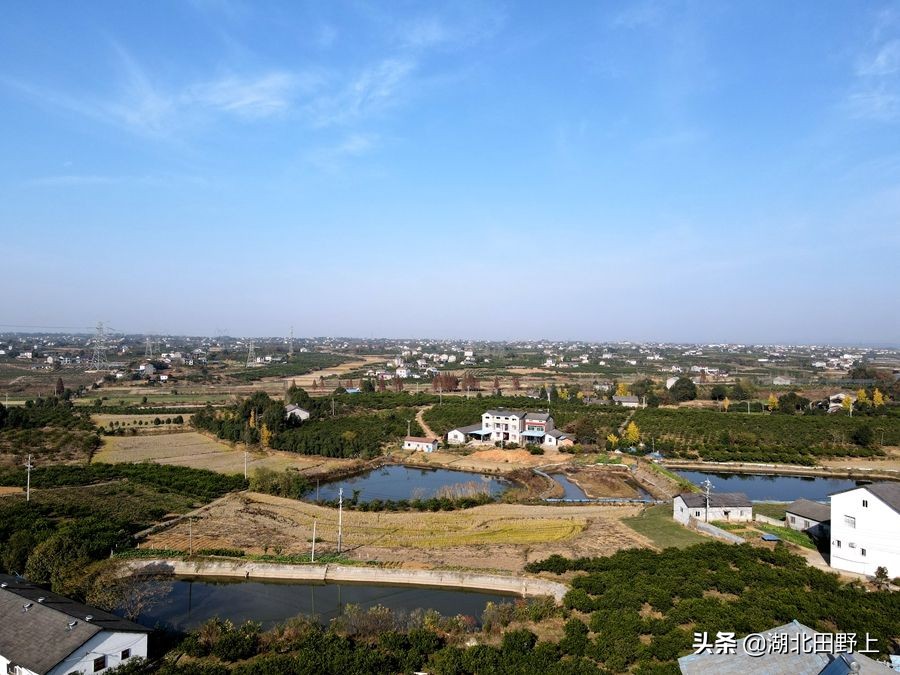 见证一个柑橘产业大村——鸦鹊岭镇云台村回访小记