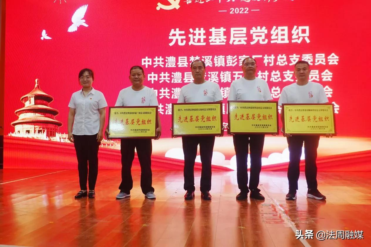 澧县梦溪镇：榜样引领，充分激发党员“内驱力”