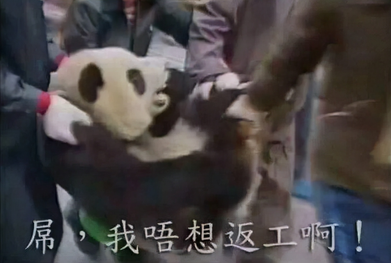 高效率，易清洗，轻松粉碎食材，给孕妈吃点不一样的