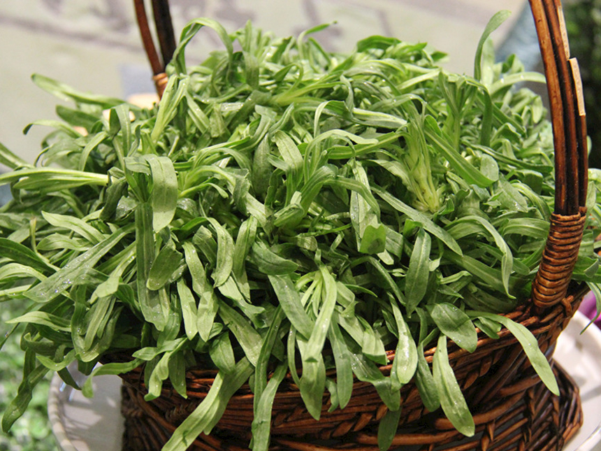 麦蒿图片(春天挖野菜) - 赤虎壹号