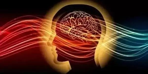 热爱工作，专注其中，成就非凡：激发热情，提升工作效率与成果