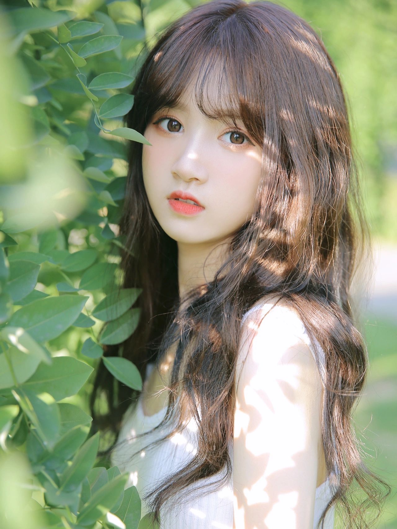 拍摄(拍摄指南乔桥在哪可以读) - 新科宏