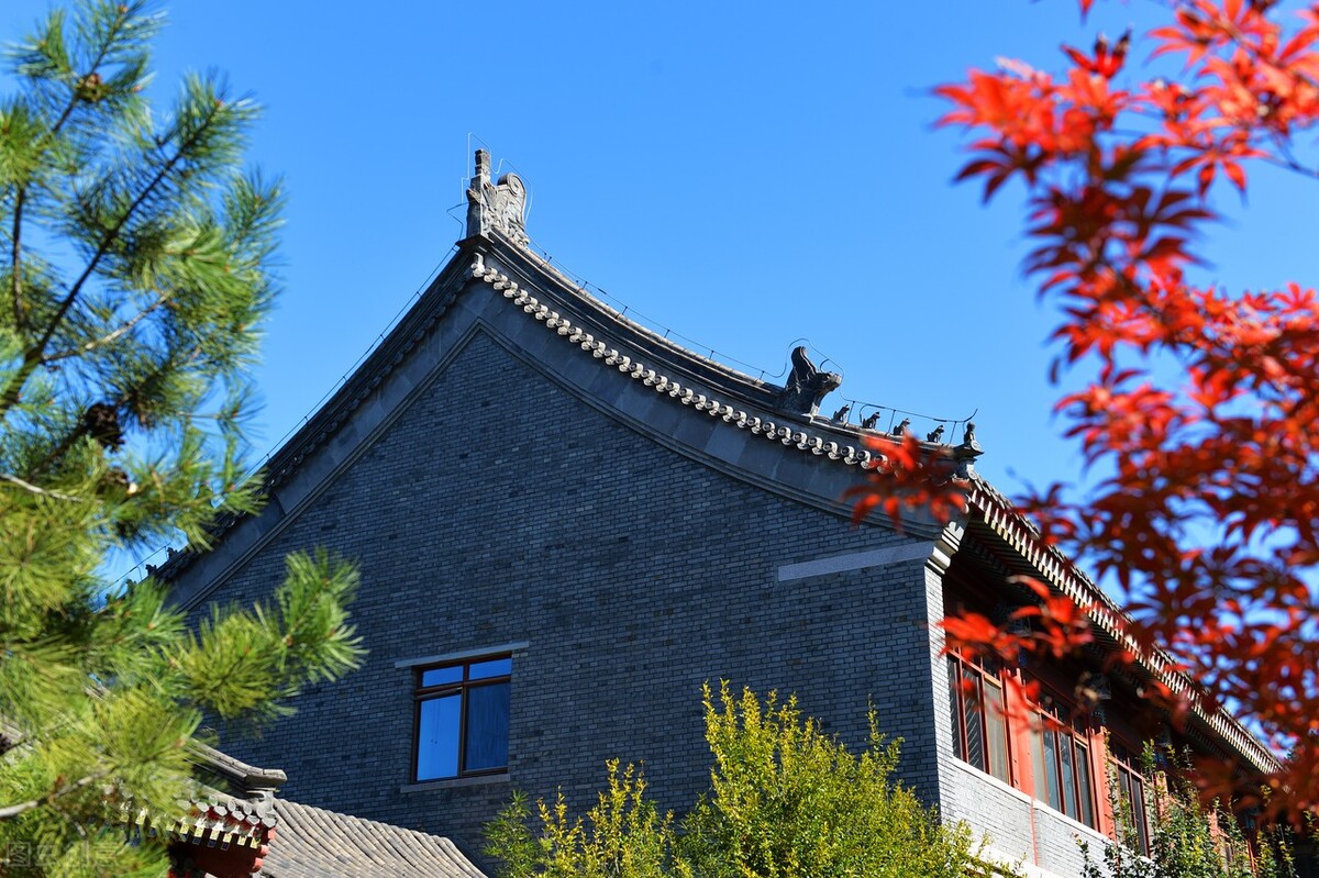 大学挂科影响很大，大一挂科丧失资源的机会，大三挂科影响毕业