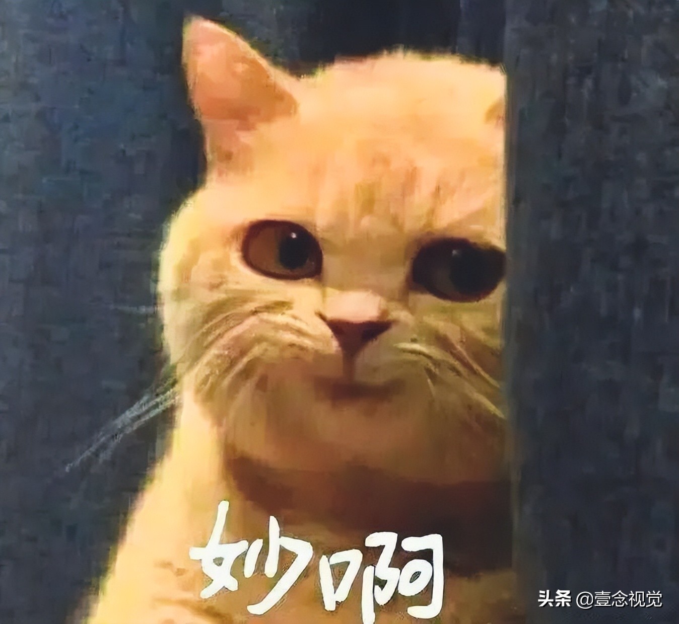 618猫头秀后，天猫首发32款NFT数字藏品，网有直呼太炫了