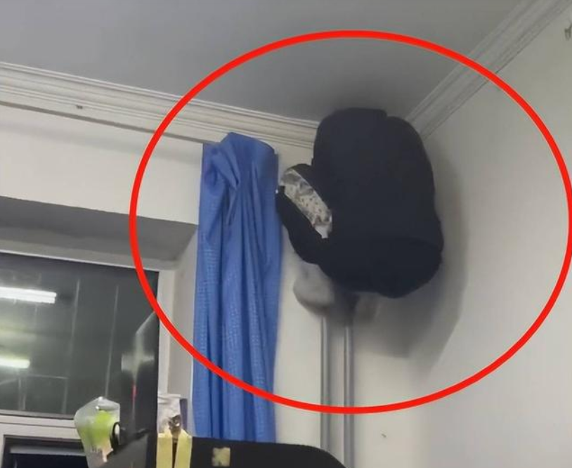 大学生封校期间都在干嘛？男生花式捉迷藏不算啥，女寝才有创意