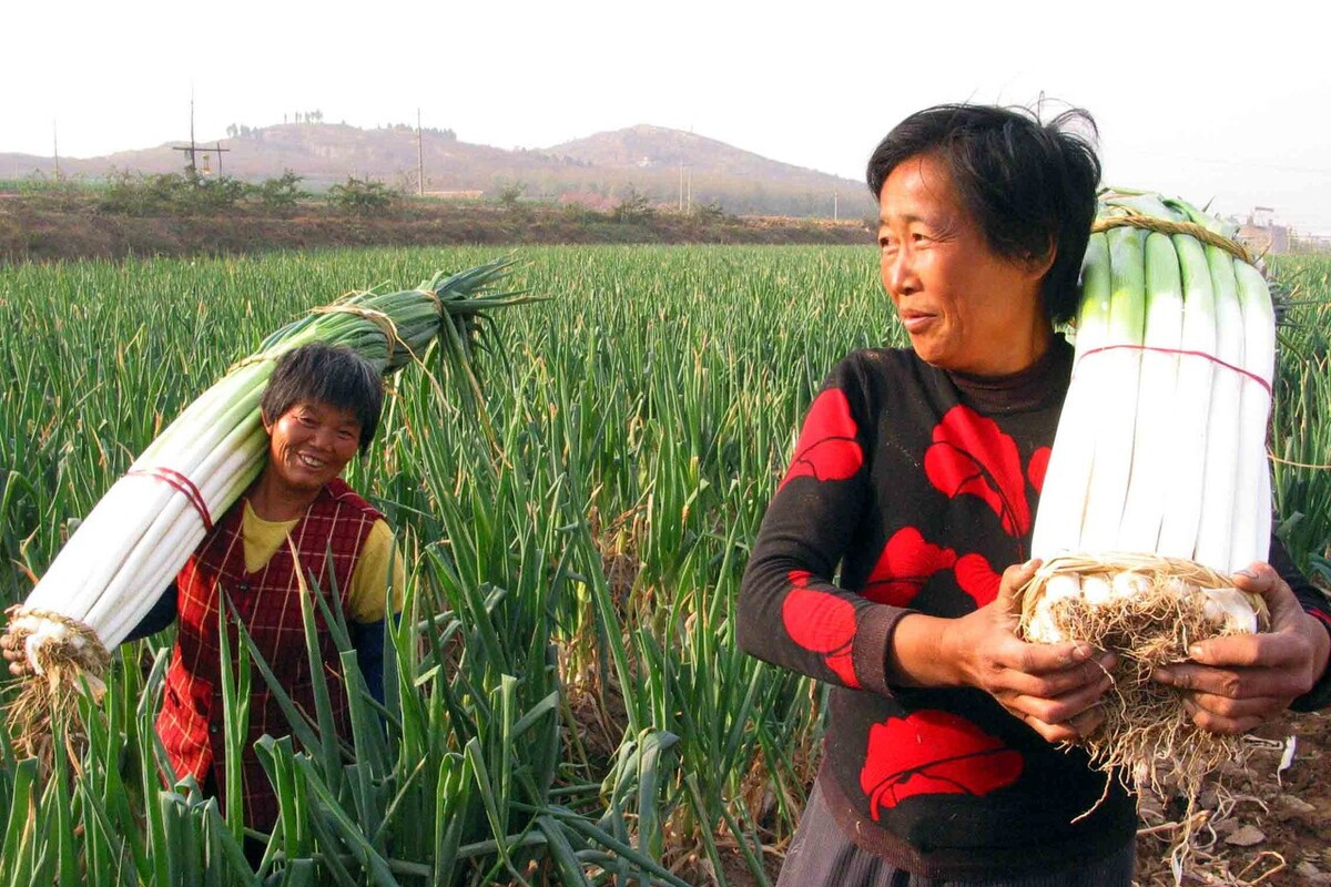 山东10大经典名肴，道道都是硬核菜，鲜嫩油润，名菜之首当之无愧