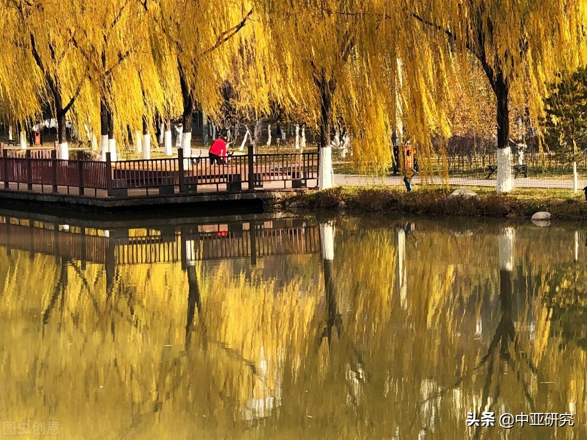 北方民族大学2022年硕士研究生调剂公告（二）