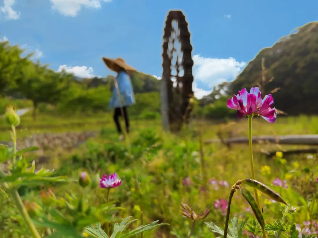 初夏5月，来霞浦吴洋村为心灵寻得一片桃源仙境吧