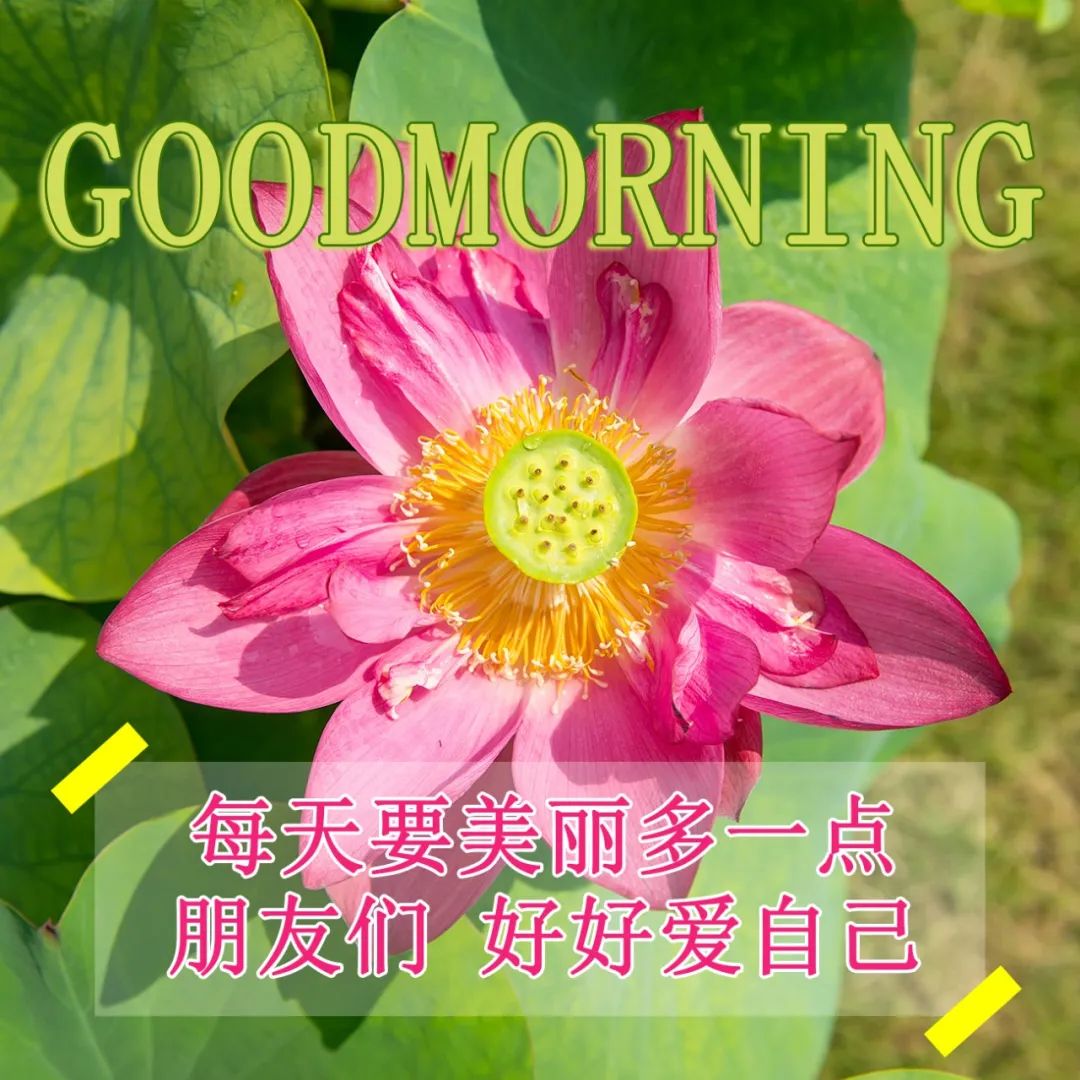 笑对人生每一天下句(笑对人生的唯美句子)_爱阅读