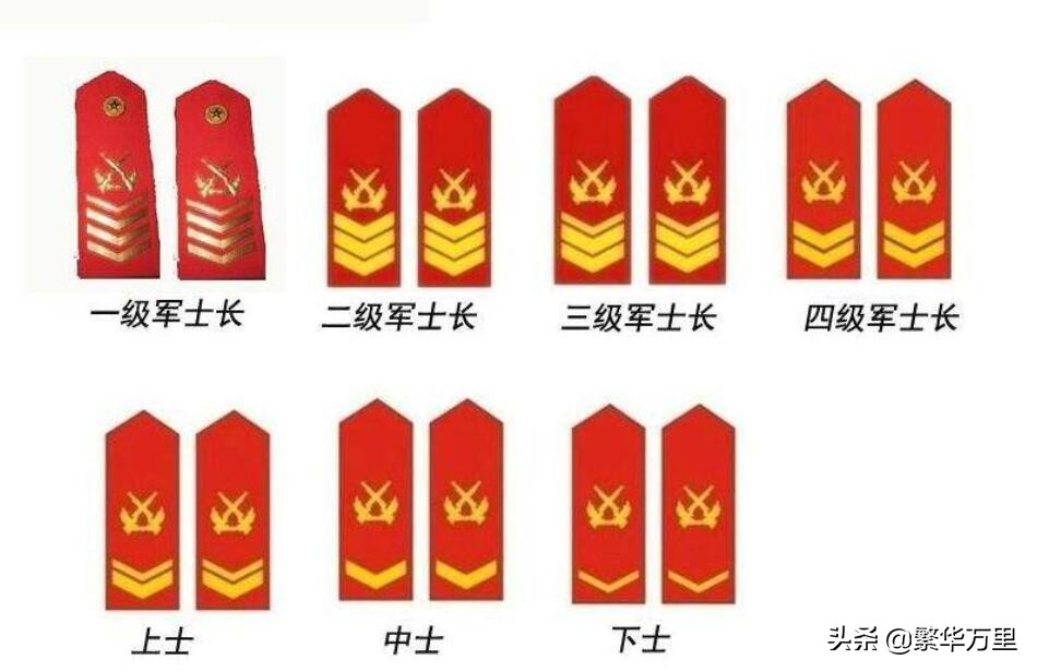 肩章和标志服饰(武警部队组建，与解放军部队不同，为何长期使用红色肩章？)