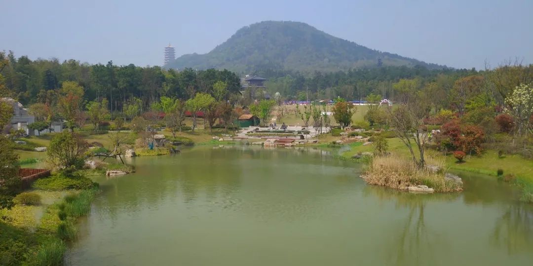 南京，除了钟山风景区，我还去了这些地方