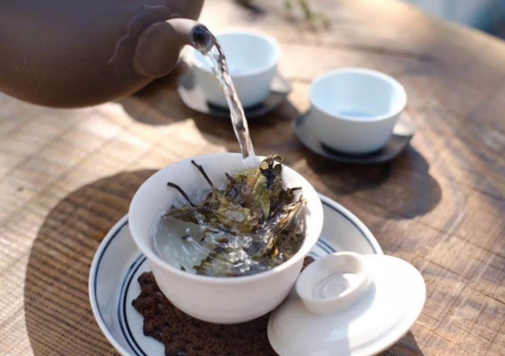 阿里山乌龙茶属于什么茶（详解乌龙茶所属的茶叶类型）