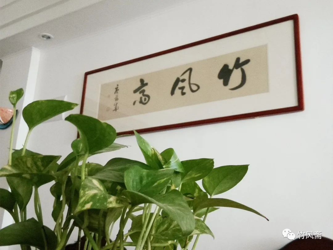 忆恩师谢德萍教授（作者：唐兹成）