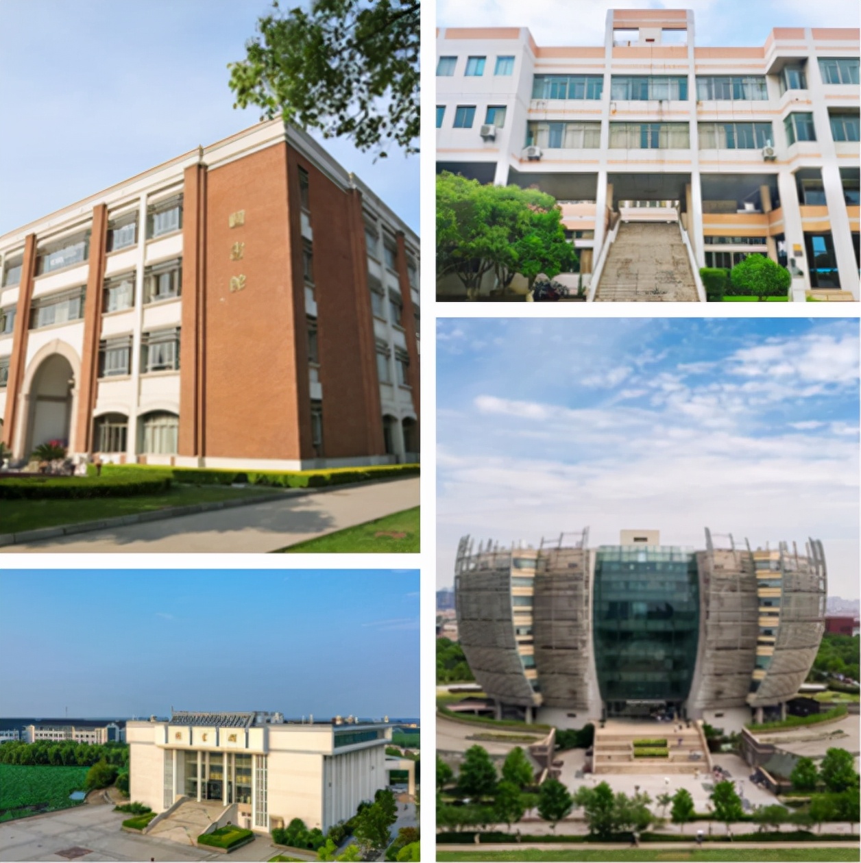 惊艳来袭！江苏“神仙”打卡地爆火，四大独立馆舍占地超80000㎡！