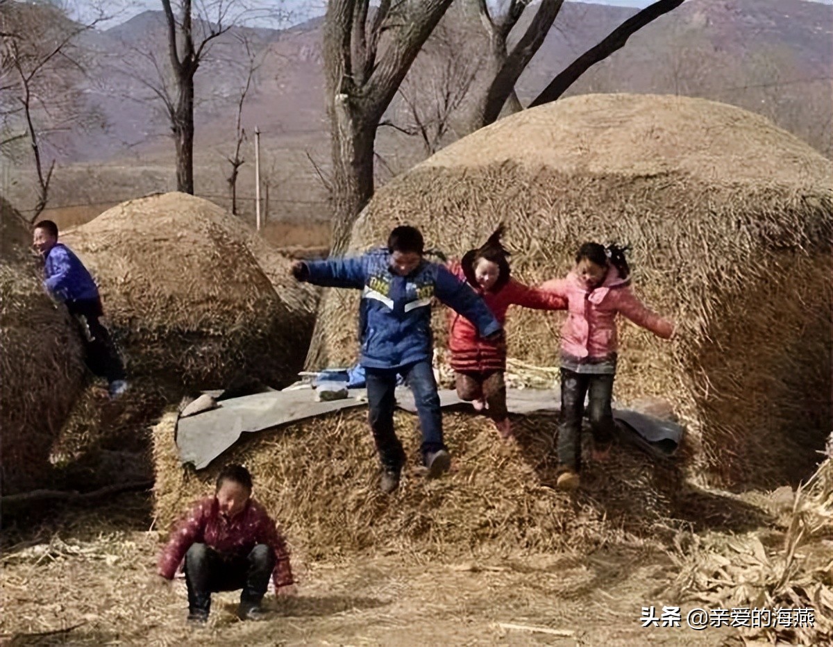 80后小时候都干过的农活,要失传了,快看看有没有你家的那个