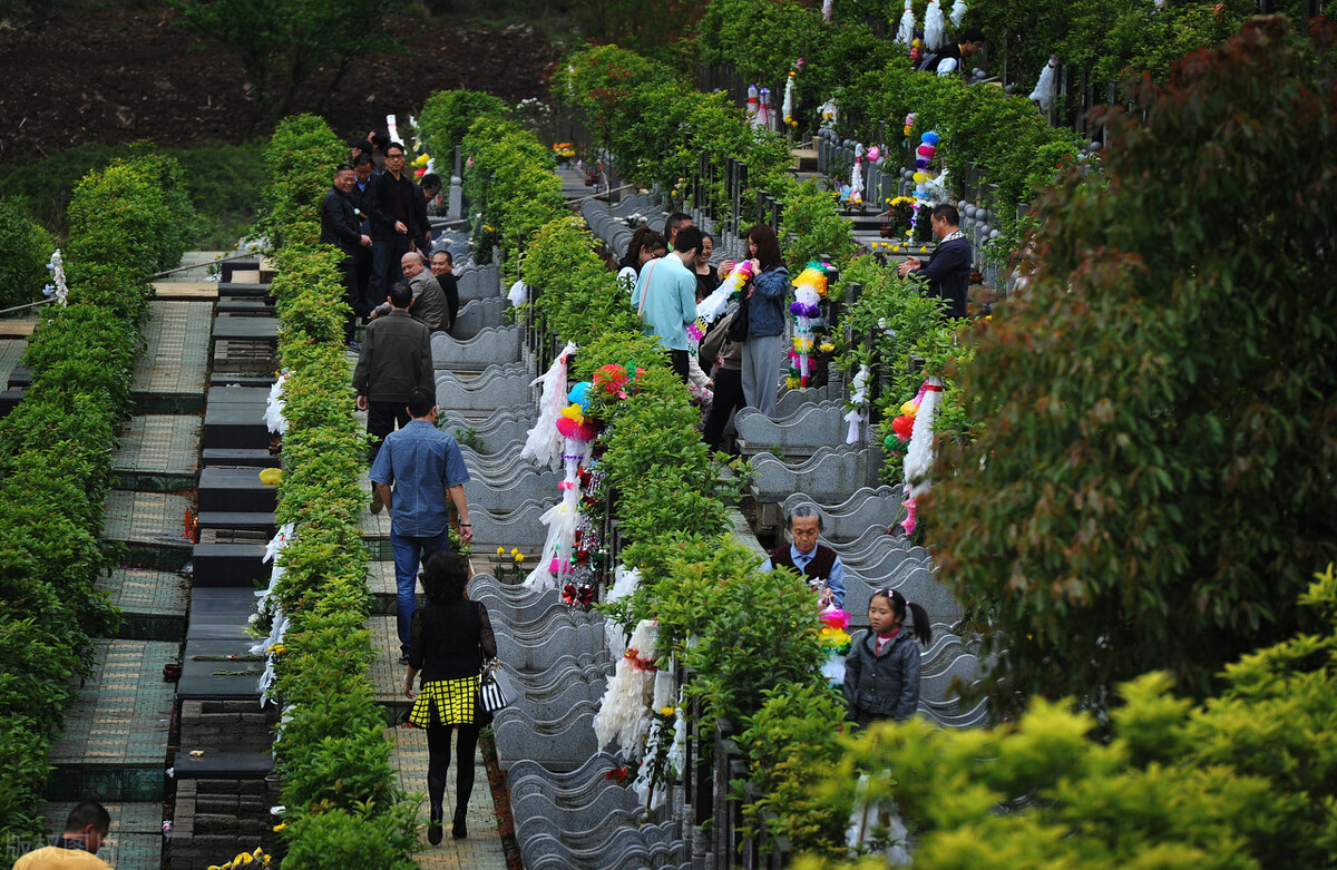 假如膝下无子，那么墓地过了使用年限无人续缴会怎么样？
